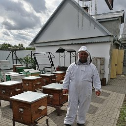 ����, �����, 45 ���