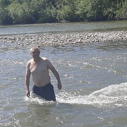 , 43, 