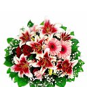 ���� ���������, ��������, 69 ��� - ��������� 2 ������� 2023 � ������ ���� ����������