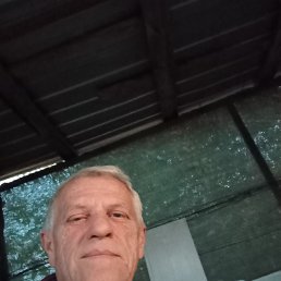 , 64, 