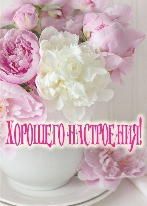 ***Victoria Viktorovna*** - 27  2025  03:32 - 2