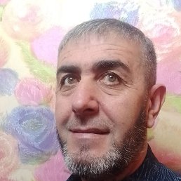 �����, ������������, 49 ���