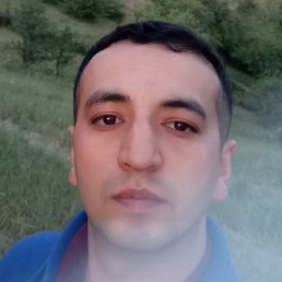 Bahodir, �����, 33 ����