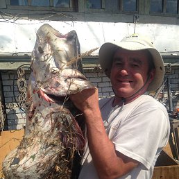 �����, ������, 55 ���