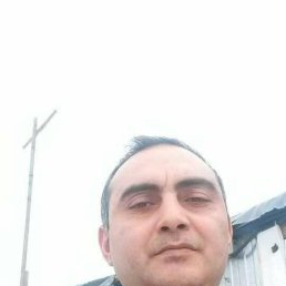 Roma, 43, 