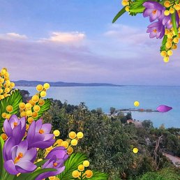 ���������, ������, 77 ���