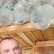 �������, 33 ����, ���������