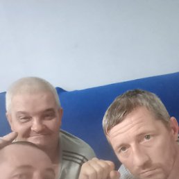 , 44, 