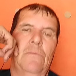 ����� �������, �����������, 40 ���