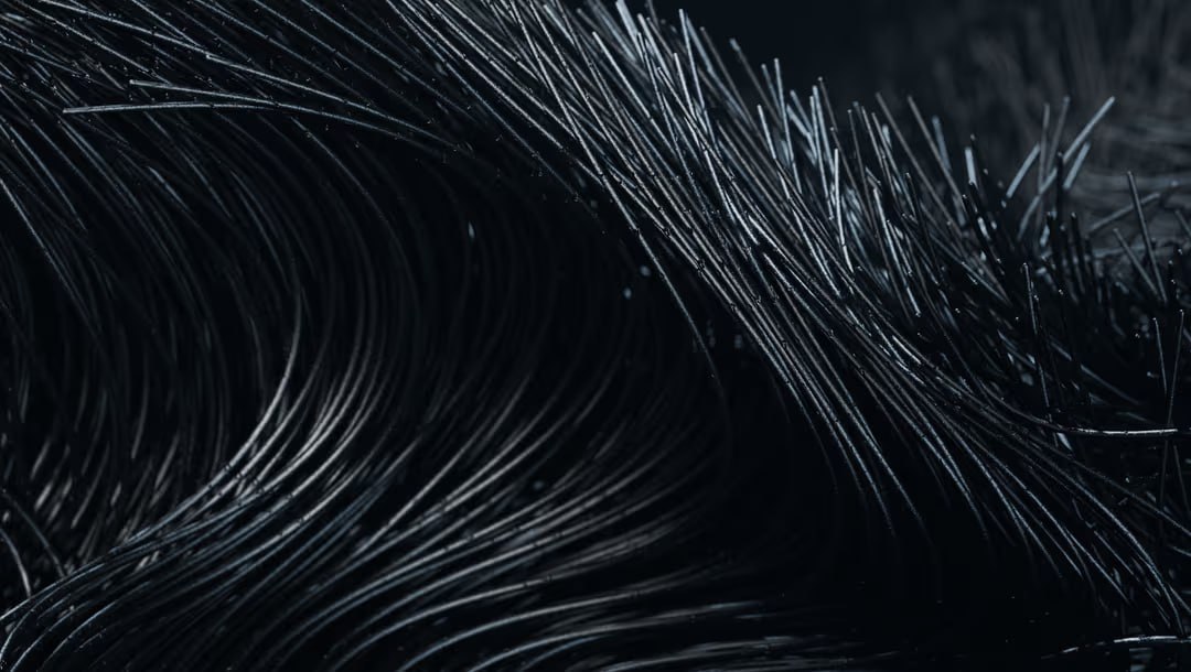 ������, ����� ���������� ������ ���������� ���������� �������� � �����. Noctua ����������� ����� ... - 2