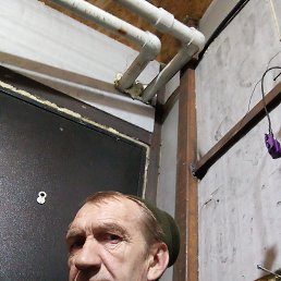 , 54, 