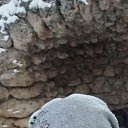 ���� ������, ��������� - ��������� 18 ������ 2026 � ������ ���� ����������