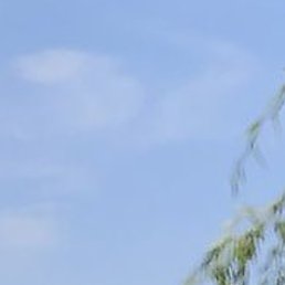 ������, ���������, 52 ����