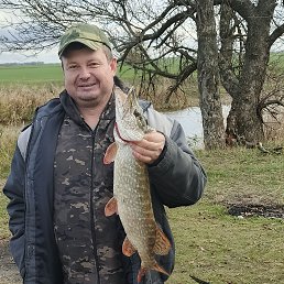 ������, 42 ����, ���������