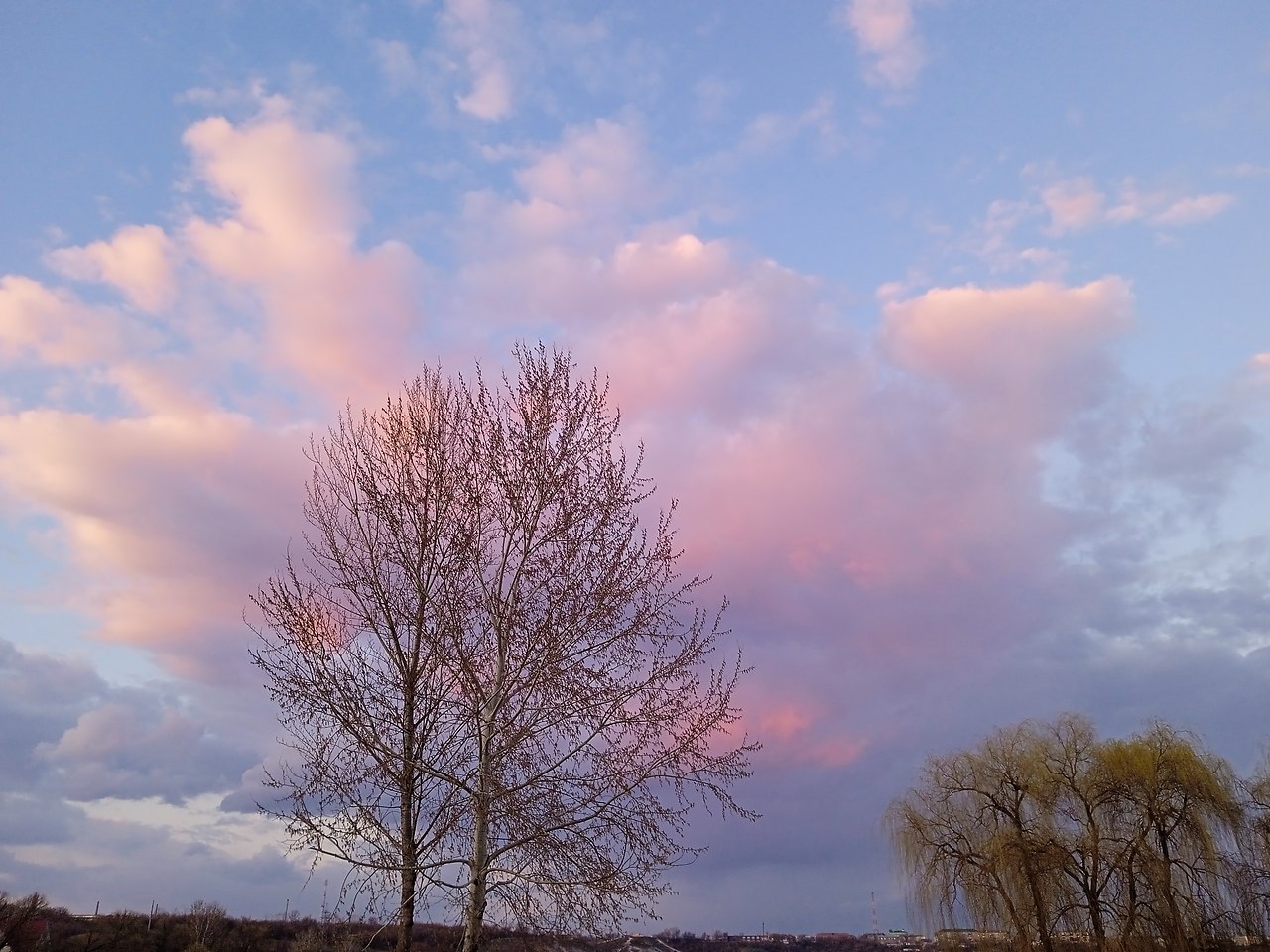 ���� ������� - 6 ������ 2026 � 19:54 - 3