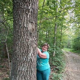 ���������, �������, 49 ���