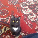 ���� �������, ��������, 51 ��� - ��������� 9 ������� 2024