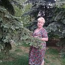 ���� ������, ���������, 60 ��� - ��������� 10 ����� 2024