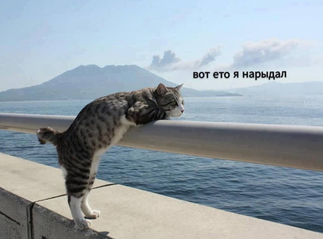    - 31  2024  11:25