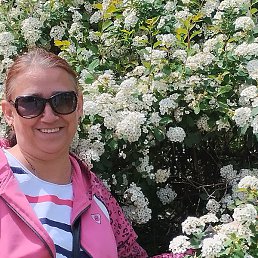 �����, ���������, 49 ���