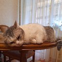 ���� �������, �����, 73 ���� - ��������� 21 ������� 2023 � ������ ���� ����������