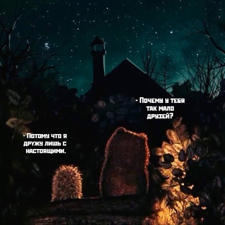   y
