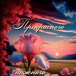 ���� �������, �����, 63 ���� - ��������� 2 ���� 2025