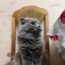 ���� Mikhail, �����-��������� - ��������� 12 ������ 2025 � ������ ���� ����������