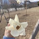 ���� ����, ����, 25 ��� - ��������� 20 ����� 2024 � ������ ���� ����������