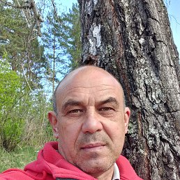 , 54, 
