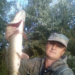 ���� �����, ������, 44 ���� - ��������� 19 ������� 2023