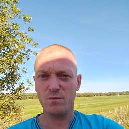 , 37, 
