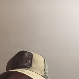 , 53,  