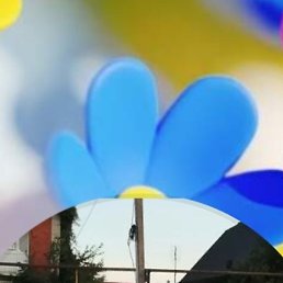 ���� �����, ������, 51 ��� - ��������� 30 ������ 2023