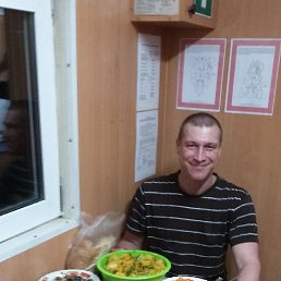 , 37, 