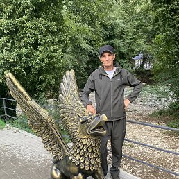 , 51, 