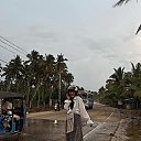 ���� ���, �����, 29 ��� - ��������� 15 ������ 2024 � ������ ���� ����������