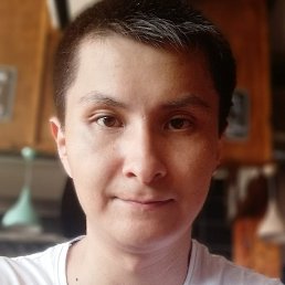 �����, ���������, 40 ���