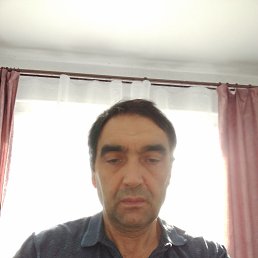  , 51, 
