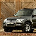 ���� ������, �����-���������, 49 ��� - ��������� 14 ������ 2024 � ������ ���� ����������