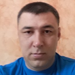 ������, �����������, 41 ���