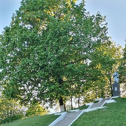 ���� �������, �����, 54 ���� - ��������� 27 ������� 2025