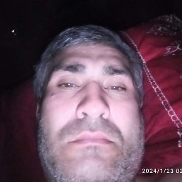 �������, �����-���������, 46 ���