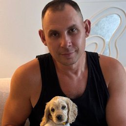 ��������, �������, 40 ���