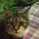 ���� �������, ��������, 56 ��� - ��������� 15 ������� 2023 � ������ ���� ����������