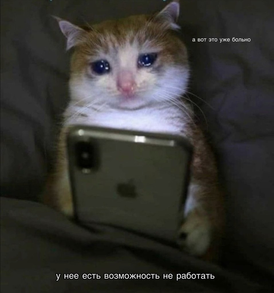 �������. - 22 ������� 2025 � 09:55 - 2
