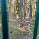 ���� ���������, ���������, 45 ��� - ��������� 20 �������� 2024 � ������ ���� ����������