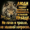 ���� ������, ������, 39 ��� - ��������� 6 ������� 2026 � ������ ���� ����������