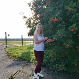 �����, �����������, 61 ���