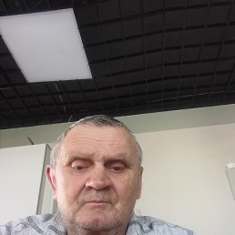 , 61, 